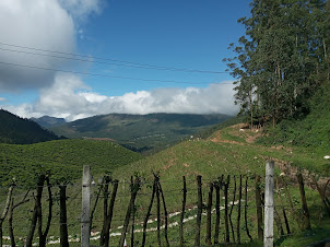 Scenic mountain views on the Mountain highway route to Topstation.