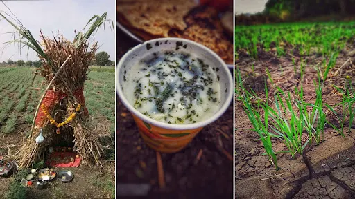 पांडव पूजन, वेळ अमावस्या विशेष आंबिल, नवीन अंकुर