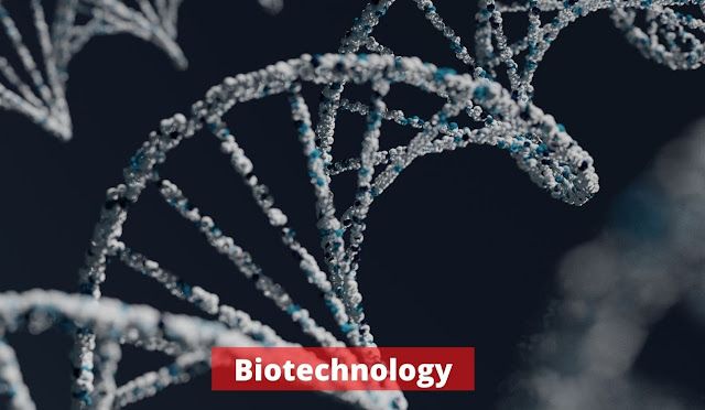 The technology of the future - Biotechnology