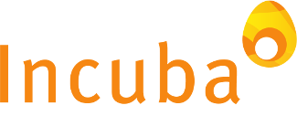 Incuba Consultores