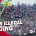 Dugaan Kasus Ilegal Logging Dan Perambahan Hutan Diregister 39 Hilang Bak Ditelan Bumi Hingga Pelaporan UU ITE