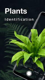 LeafSnap Plant Identification (MOD,FREE Unlocked )