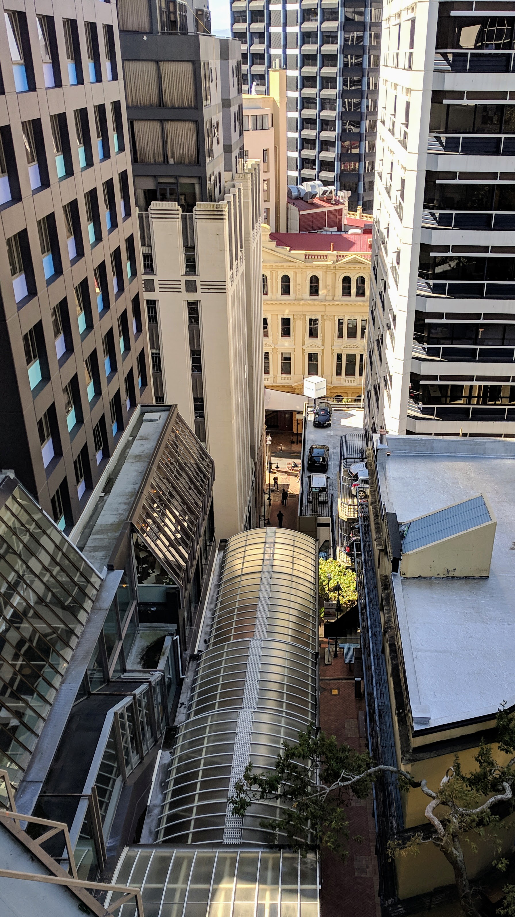 Plummer Steps and beyond, Wellington (NZ)