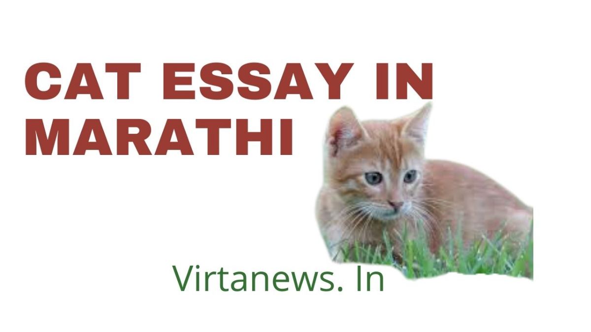 my favourite animal cat essay in marathi