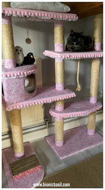 The BBHQ MidWeek News Round-Up ©BionicBasil®Pandora Loves The Cat Tree