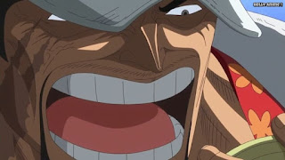 ワンピースアニメ ドレスローザ編 736話 赤犬 藤虎 喧嘩 SAKAZUKI | ONE PIECE Episode 736