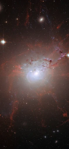 Magnetic monster NGC 1275