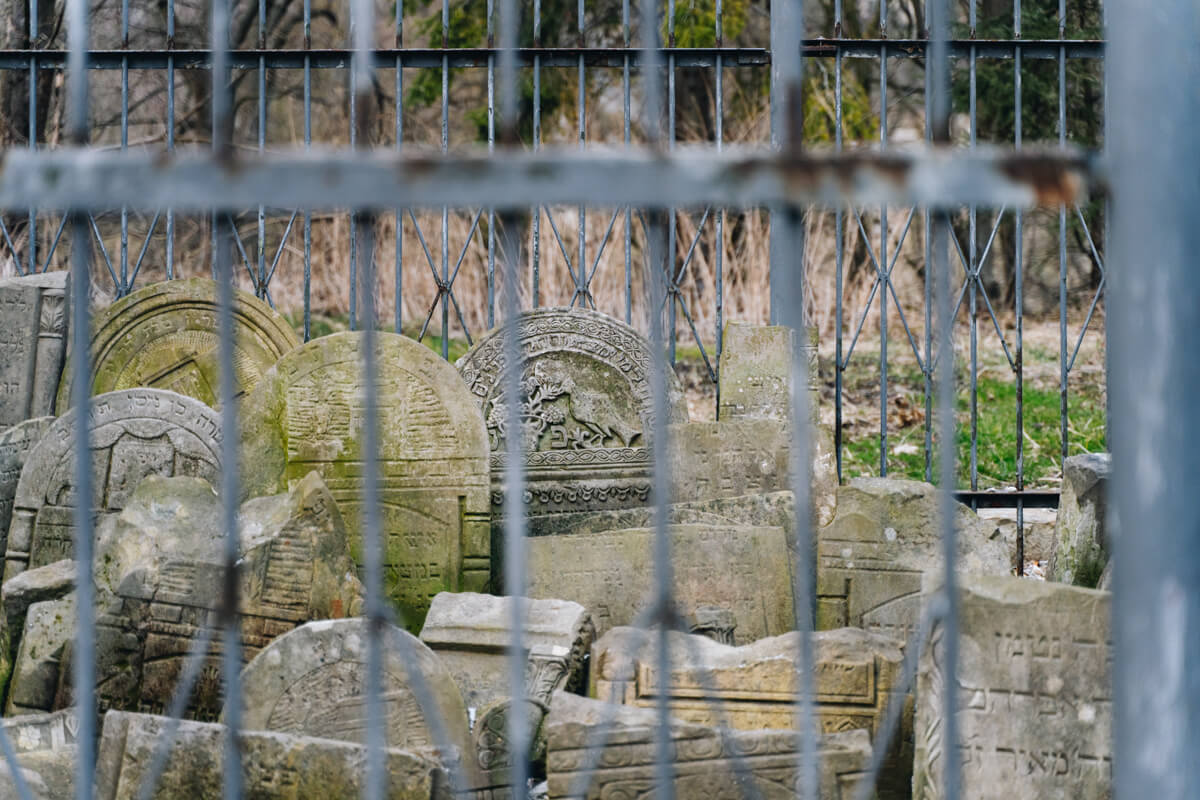 synagoga w Łęcznej lapidarium