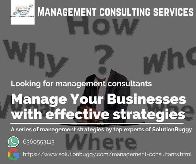 Management consulting services