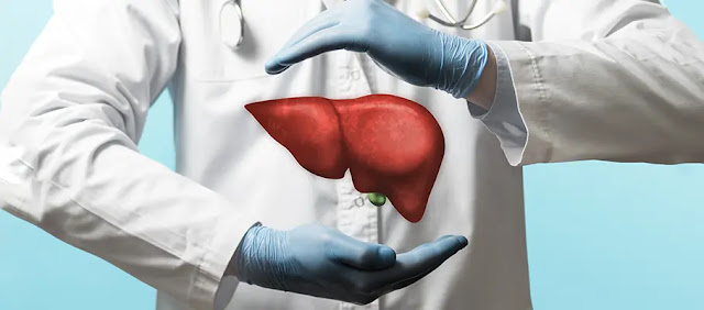8. Maintain Your Liver for weight loss: