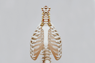 Best Spine Specialist in Ahmedabad