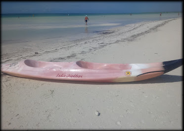 "Flamingo Kayaks"