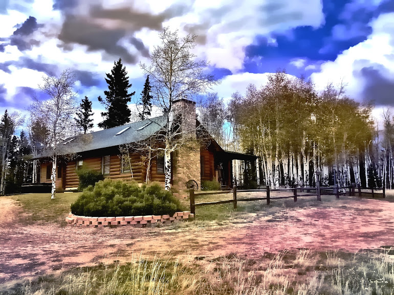 Aspen Meadows Cabin - Divide Colorado