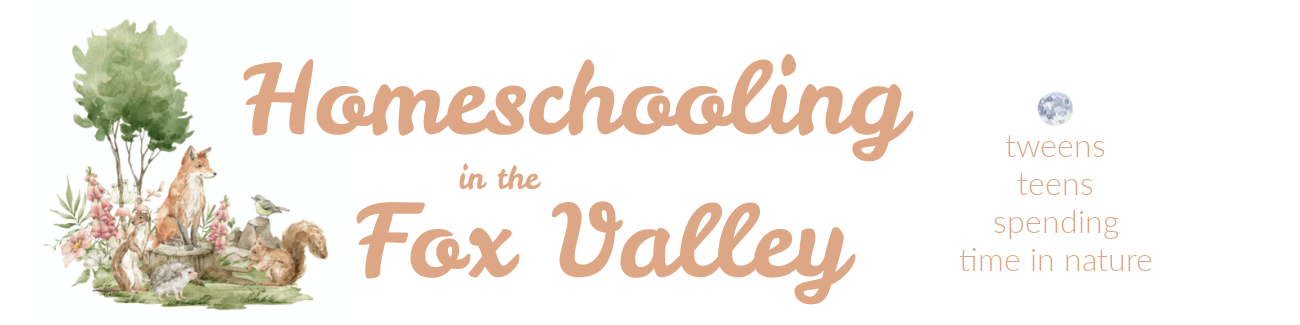 Homeschooling in the Fox Valley