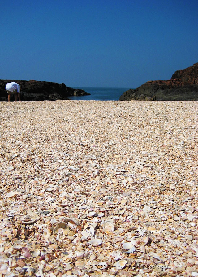 A man picking seashells on a shell beach in St. Mary's Island, Udupi, Malpe, Karnataka