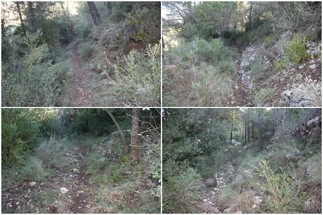 GR-7 Cabra del Camp a Vallespinosa, Camí de Cabra del Camp a Vallespinosa dins del corriol de baixada cap a Les Eres de Vallespinosa