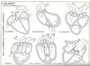 The Klingon Heart...