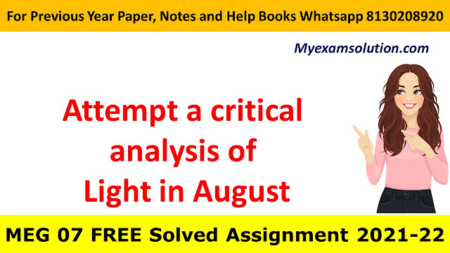 Attempt a critical analysis of Light in August