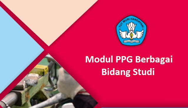 Modul PPG