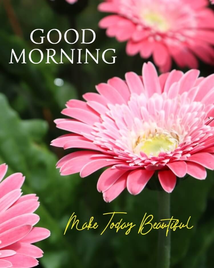 good morning photo download hd, good morning photo frame download, good morning photo whatsapp, good morning photo love you, good morning photo in hindi