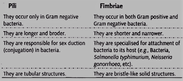 Differences between Pili and Fimbriae