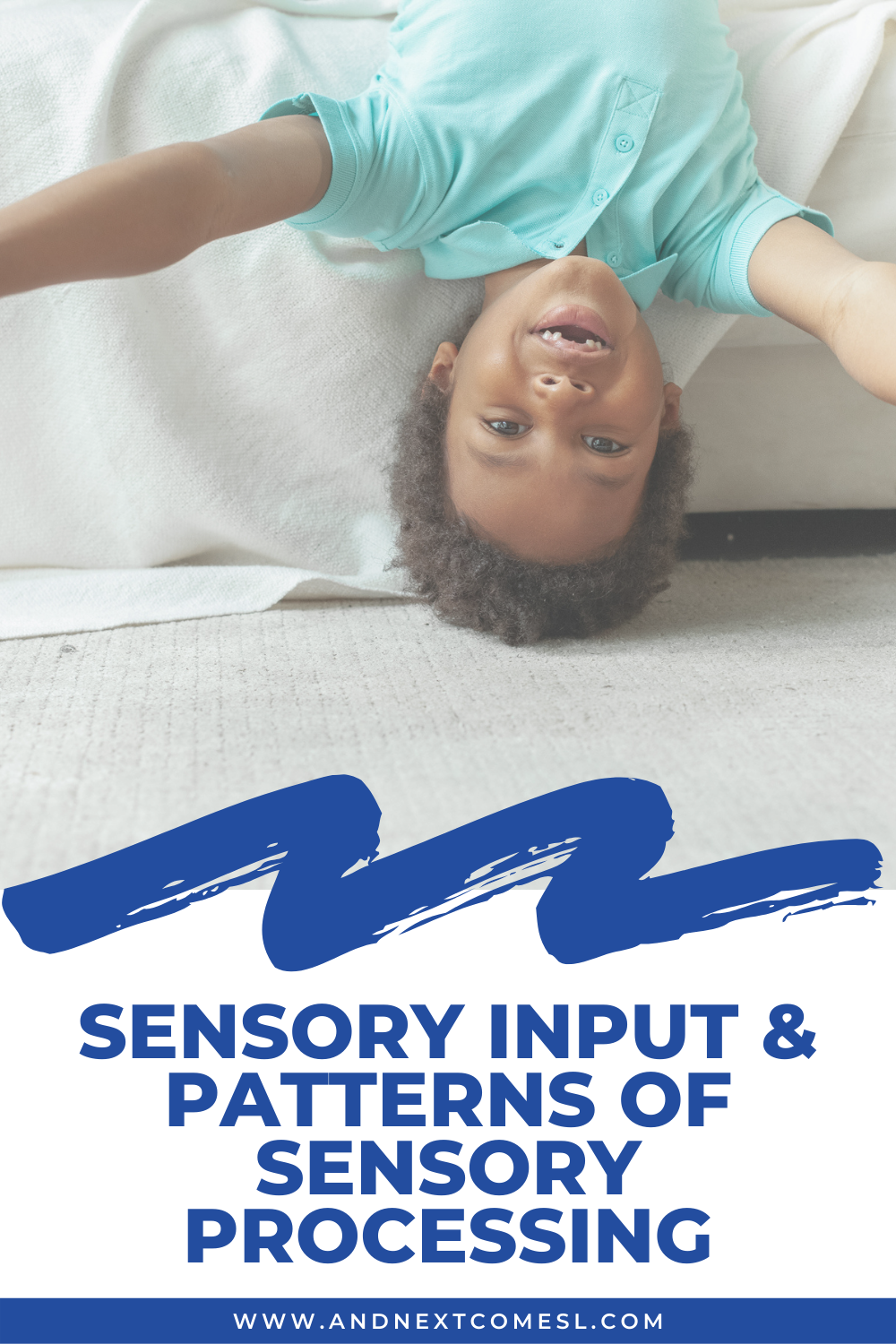 What is sensory input? A look at patterns of sensory processing