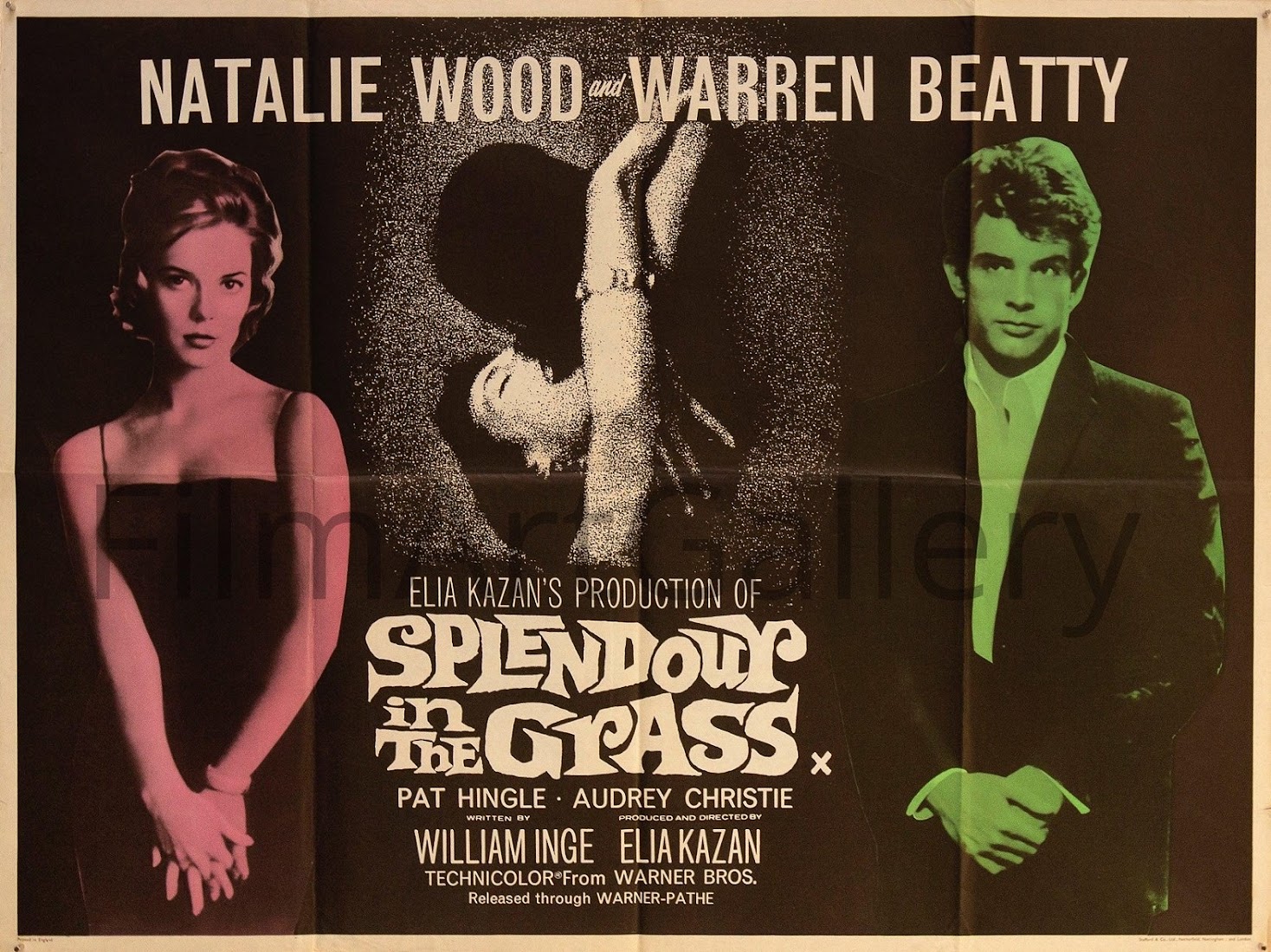 SPLENDOR IN THE GRASS (1961) WEB SITE