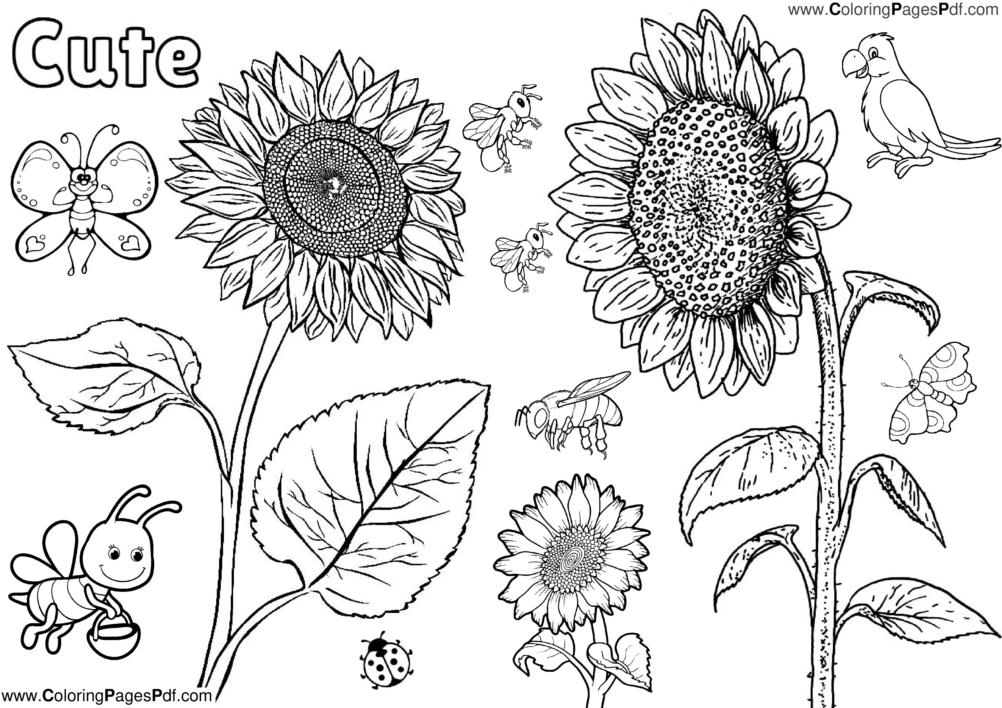 Cute sunflower coloring pages