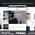 Best 12+ Niche Multipurpose Responsive Email Templates for Startups 