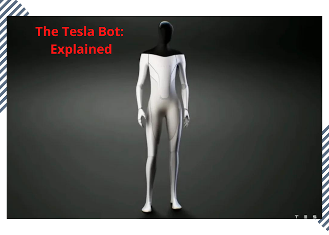 What Is The Tesla Bot:Explained