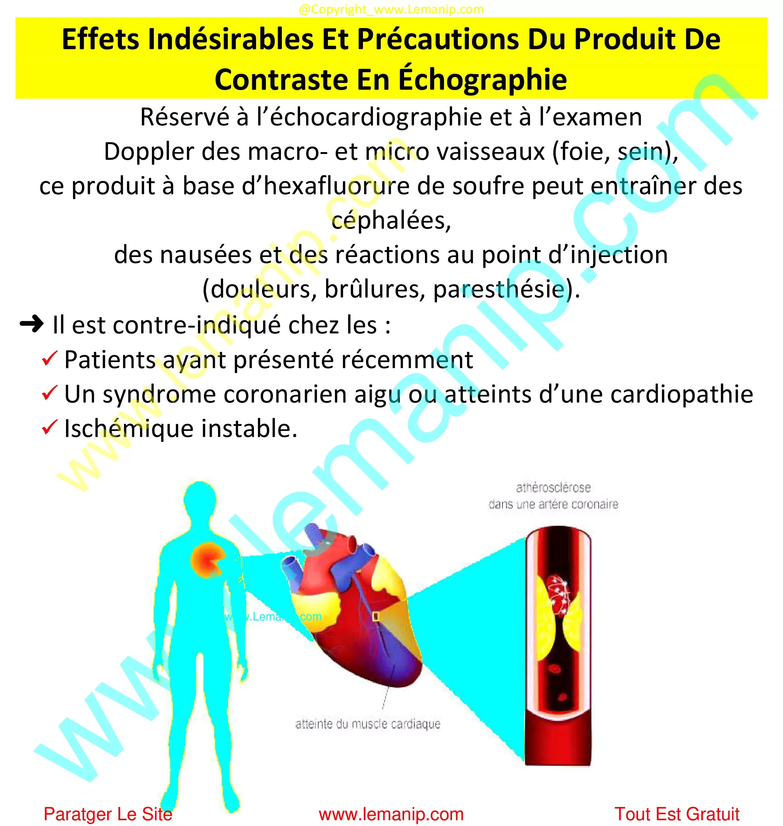 Effets Indésirables Et Précautions Du Produit De Contraste En Échographie