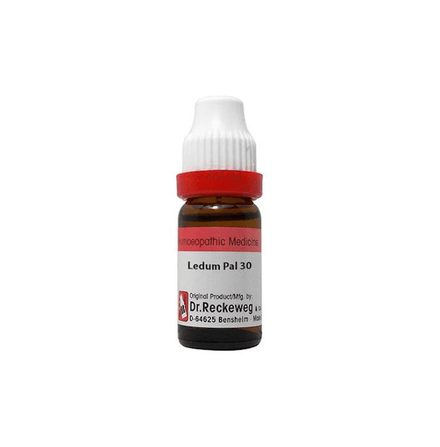 Ledum Pal 30 Homoeopathic Diluction in hindi - Dr.Reackeweg Ledum Pal 30 Benefit and Uses in hindi