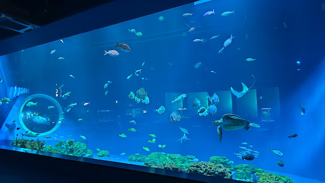 沖縄 かりゆし水族館