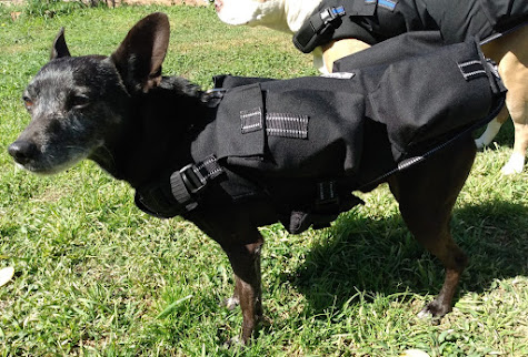 Service Dog Weight Vest
