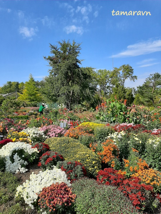 Октябрь в ботаническом саду
