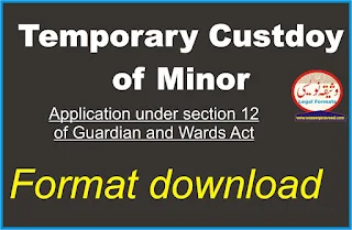 Temporary Custody of minor application format