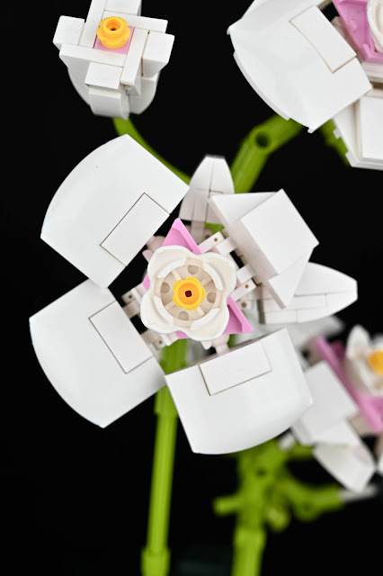 nifeliz flower bouquet phalaenopsis compatible with lego flower