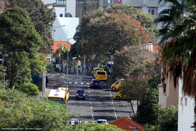 FUNCHAL - ESTRADA MONUMENTAL