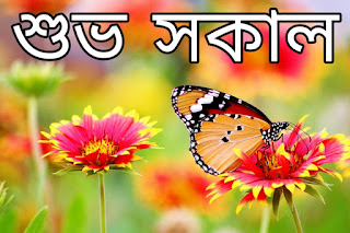 Good Morning Photo Bangla