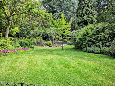 a Few Backyard Ideas To Make Your Backyard More Enjoyable.