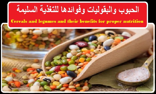 الحبوب والبقوليات وفوائدها للتغذية السليمة  Cereals and legumes and their benefits for proper nutrition