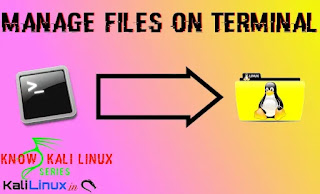 manage files from terminal
