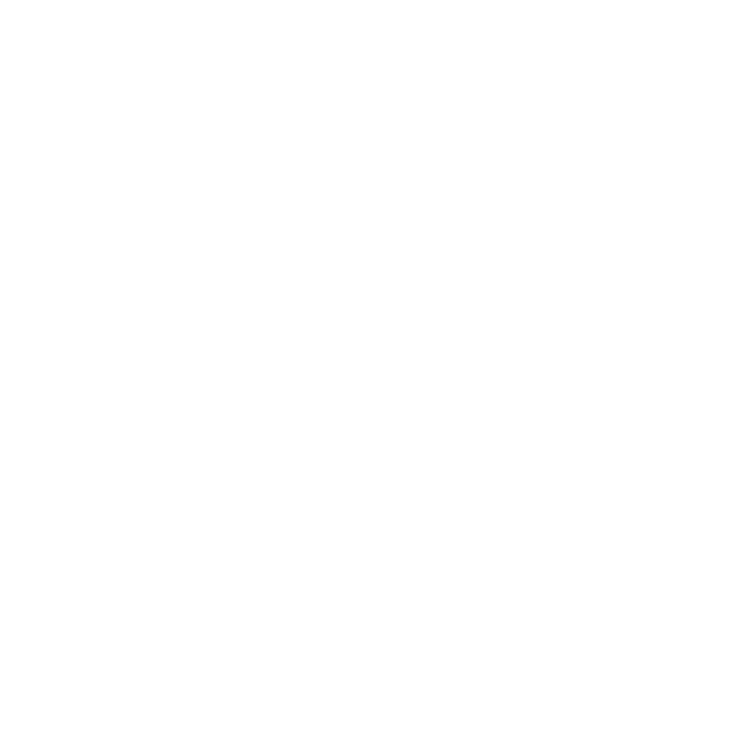 the payday loan