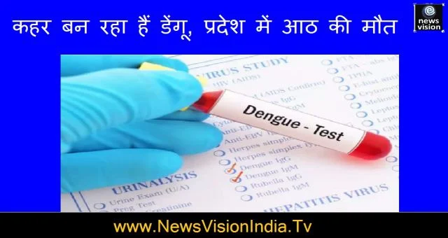 Dengue Is Causing Havoc Eight Deaths In The State Health Crises Rajasthan News