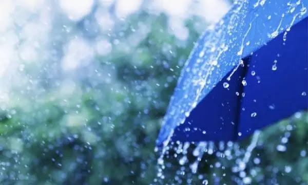 طقس الإمارات العربية المتحدة توقعات هطول الأمطار