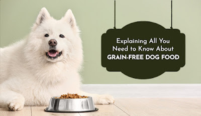 Explaining All You Need To Know About Grain-Free Dog Food