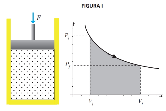 figura 1