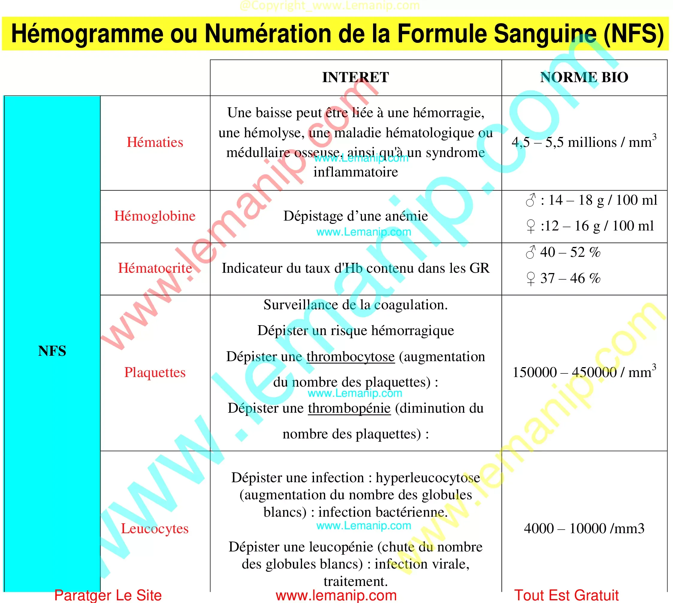 Hémogramme Numération de la Formule Sanguine (NFS)