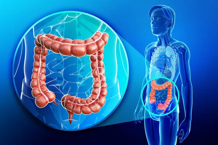 Nova meta-análise mostra que esta vitamina reduz o risco de câncer colorretal em 58%