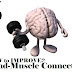 How to improve mind-muscle connection | Best tips for mind-muscle connection